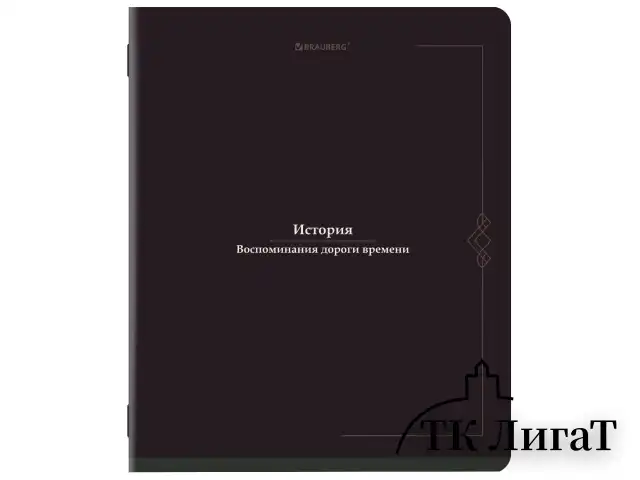 Тетради предметные, КОМПЛЕКТ 12 ПРЕДМЕТОВ, 48 л., SoftTouch, BRAUBERG "VINTAGE", 405183
