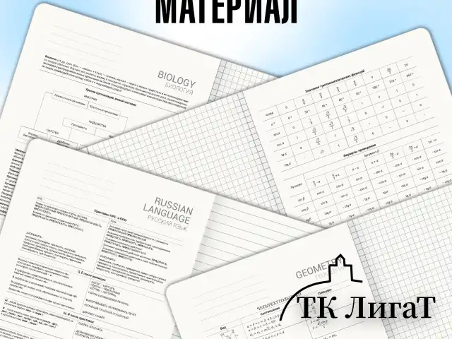 Тетради предметные, КОМПЛЕКТ 12 ПРЕДМЕТОВ, 48 л., SoftTouch, BRAUBERG "VINTAGE", 405183