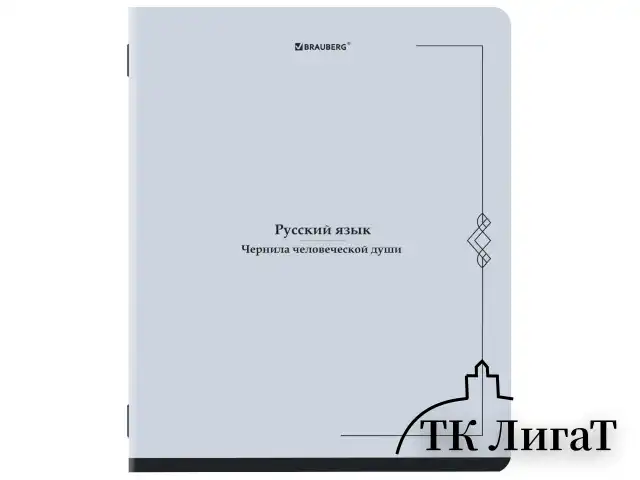 Тетради предметные, КОМПЛЕКТ 12 ПРЕДМЕТОВ, 48 л., SoftTouch, BRAUBERG "VINTAGE", 405183