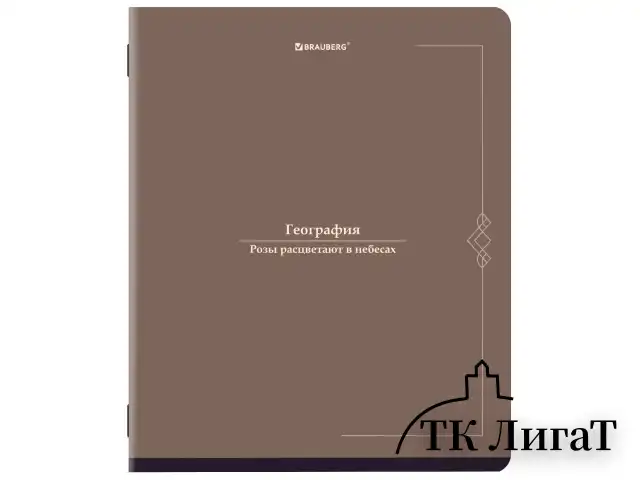 Тетради предметные, КОМПЛЕКТ 12 ПРЕДМЕТОВ, 48 л., SoftTouch, BRAUBERG "VINTAGE", 405183