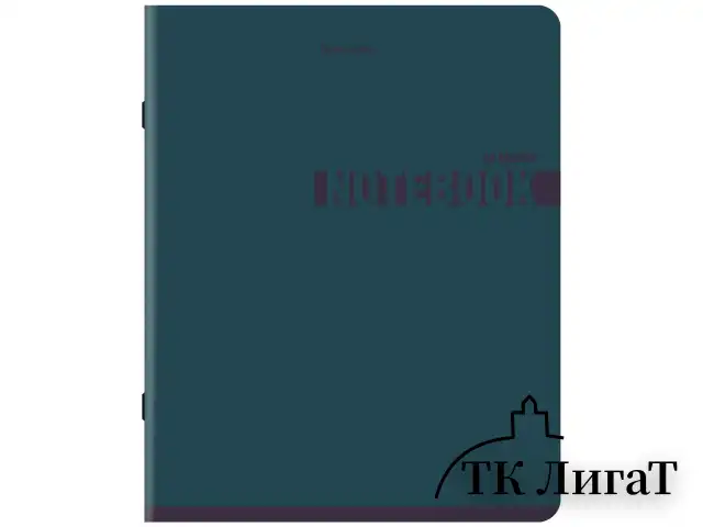 Тетрадь А5, 48 л., BRAUBERG, скоба, клетка, SoftTouch, "NoteColor", (микс в спайке), 405326