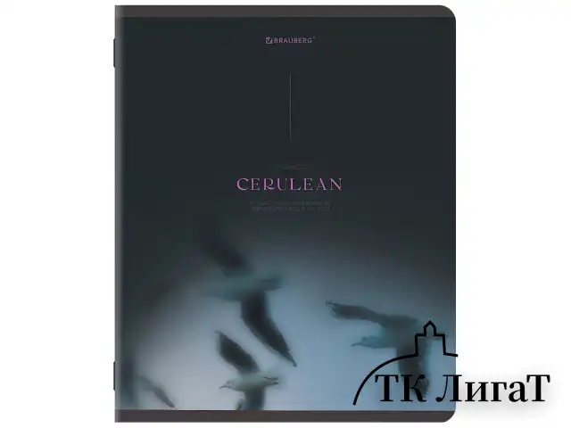 Тетрадь А5, 48 л., BRAUBERG, скоба, клетка, SoftTouch, "Peaceful", (микс в спайке), 405327