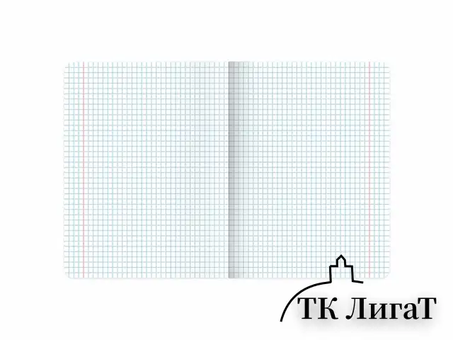 Тетрадь А5, 48 л., BRAUBERG, скоба, клетка, SoftTouch, "Peaceful", (микс в спайке), 405327