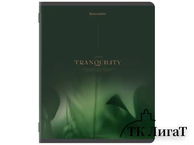 Тетрадь А5, 48 л., BRAUBERG, скоба, клетка, SoftTouch, "Peaceful", (микс в спайке), 405327