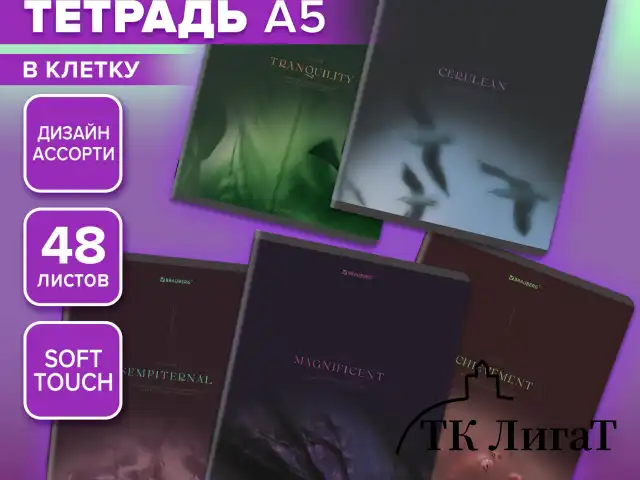Тетрадь А5, 48 л., BRAUBERG, скоба, клетка, SoftTouch, "Peaceful", (микс в спайке), 405327