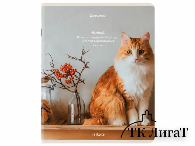 Тетрадь А5, 48 л., BRAUBERG, скоба, клетка, матовая ламинация, "Cats", (микс в спайке), 405334