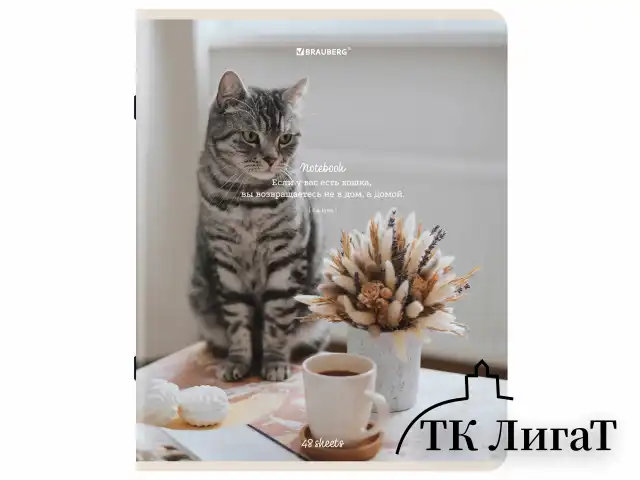 Тетрадь А5, 48 л., BRAUBERG, скоба, клетка, матовая ламинация, "Cats", (микс в спайке), 405334
