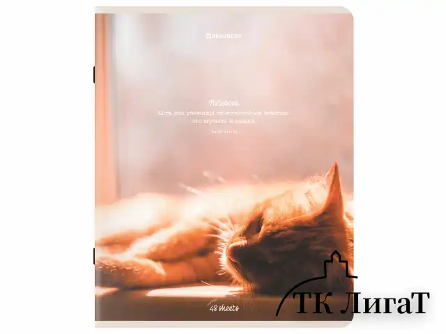 Тетрадь А5, 48 л., BRAUBERG, скоба, клетка, матовая ламинация, "Cats", (микс в спайке), 405334