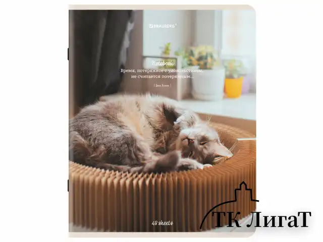 Тетрадь А5, 48 л., BRAUBERG, скоба, клетка, матовая ламинация, "Cats", (микс в спайке), 405334