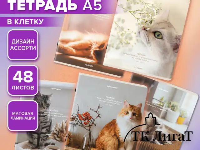 Тетрадь А5, 48 л., BRAUBERG, скоба, клетка, матовая ламинация, "Cats", (микс в спайке), 405334
