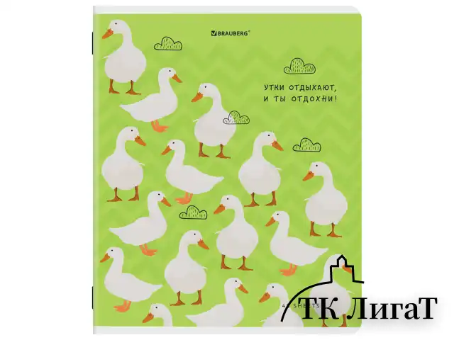 Тетрадь А5, 48 л., BRAUBERG, скоба, клетка, TWIN-лак, "КУРЛЫК И ВСЕ ВСЕ ВСЕ", (микс в ПУ), 405338