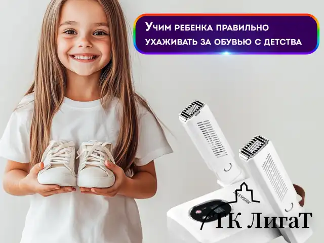 Сушилка для обуви, варежек, перчаток, складная, с подсветкой и таймером, 110 Вт, DASWERK NANO SD12, 456789