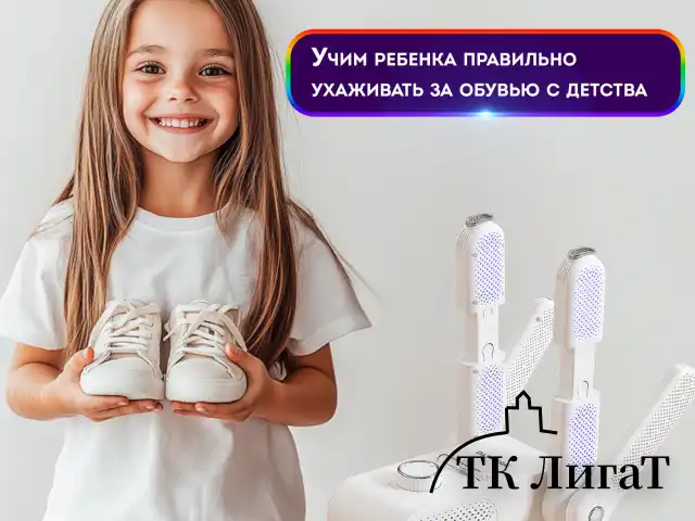 Сушилка для обуви, варежек, перчаток, складная, с подсветкой и таймером, 200 Вт, DASWERK MAXI SD13, 456790