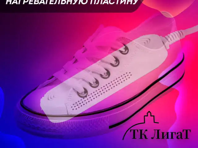 Сушилка для обуви раздвижная с подсветкой, электрическая, сушка для обуви, 16 Вт, DASWERK SD15, 456792