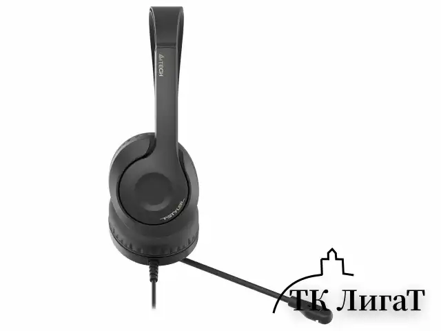 Наушники с микрофоном (гарнитура) A4TECH Fstyler FH100U, проводные, 2 м, USB, черные, 1774509
