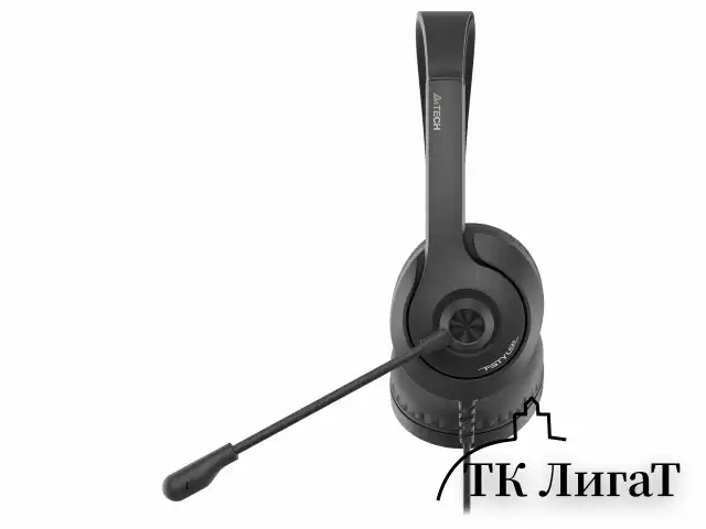 Наушники с микрофоном (гарнитура) A4TECH Fstyler FH100U, проводные, 2 м, USB, черные, 1774509