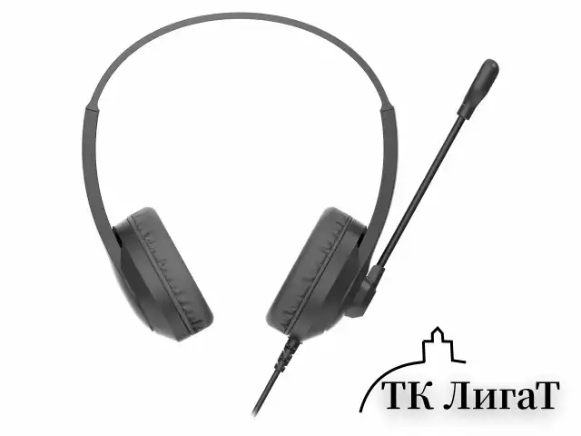 Наушники с микрофоном (гарнитура) A4TECH Fstyler FH100U, проводные, 2 м, USB, черные, 1774509