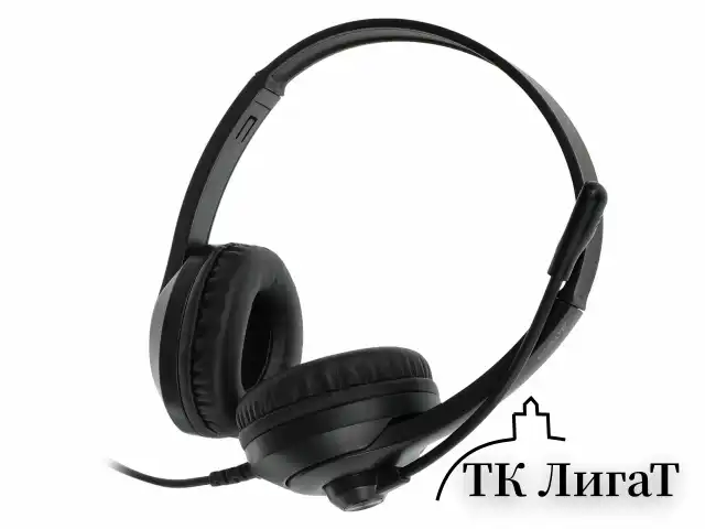 Наушники с микрофоном (гарнитура) A4TECH Fstyler FH100U, проводные, 2 м, USB, черные, 1774509