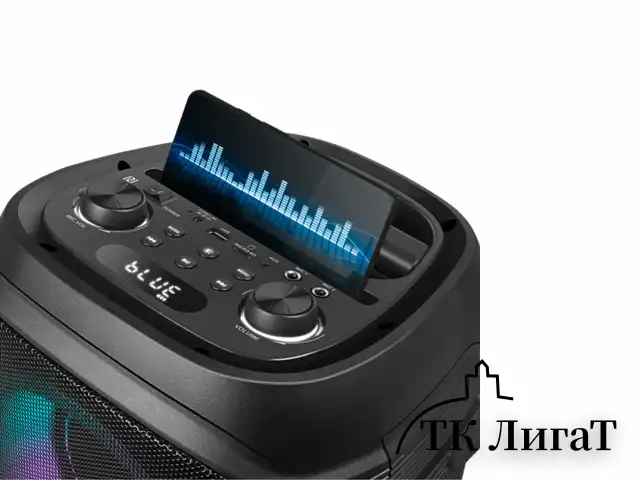 Колонка портативная SVEN PS-800, 100 Вт, TWS, Bluetooth, FM, USB, microSD, LED-дисплей, черная, SV-021511
