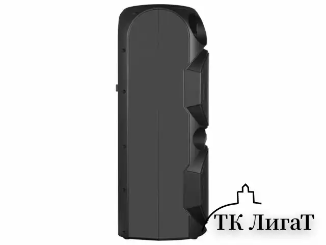 Колонка портативная SVEN PS-750, 80 Вт, TWS, Bluetooth, FM, USB, microSD, LED-дисп, черная, SV-019617