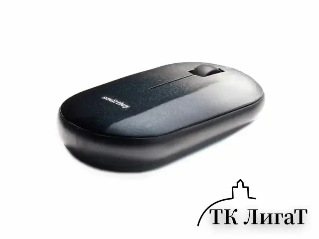 Мышь беспроводная бесшумная SMARTBUY 266AG-K, USB, 2 кнопки + 1 колесо, оптическая, черная, SBM-266AG-K