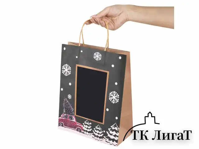 Пакет подарочный НАБОР 6 штук, 21x14x26 см, скретч-слой + стилус, "NY Kraft", ЗОЛОТАЯ СКАЗКА, 591967