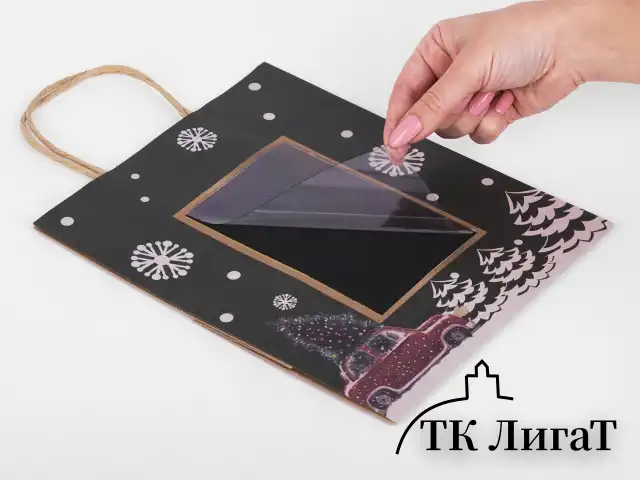 Пакет подарочный НАБОР 6 штук, 21x14x26 см, скретч-слой + стилус, "NY Kraft", ЗОЛОТАЯ СКАЗКА, 591967