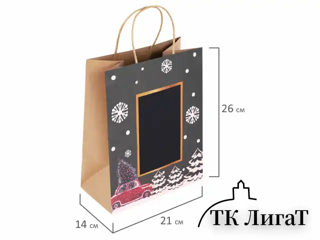 Пакет подарочный НАБОР 6 штук, 21x14x26 см, скретч-слой + стилус, "NY Kraft", ЗОЛОТАЯ СКАЗКА, 591967