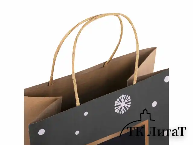 Пакет подарочный НАБОР 6 штук, 21x14x26 см, скретч-слой + стилус, "NY Kraft", ЗОЛОТАЯ СКАЗКА, 591967