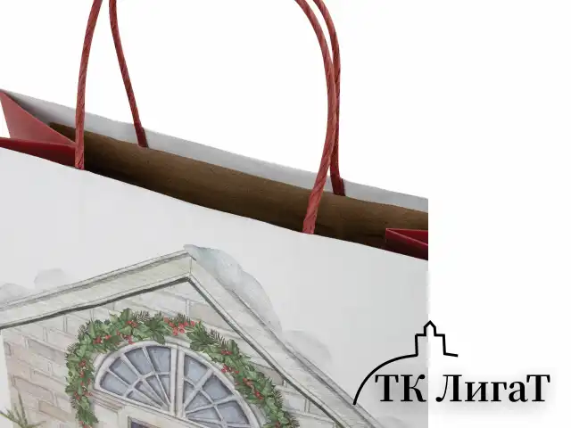 Пакет подарочный КОМПЛЕКТ 10 штук новогодний 26x32x13 см, "Новогодняя Сказка", ЗОЛОТАЯ СКАЗКА, 592131