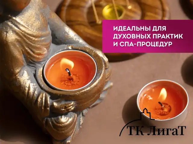 Свечи чайные Maxi Life, до 8 часов горения, вес 21 г, КОМПЛЕКТ 50 шт., в гильзе, LAIMA, 609202