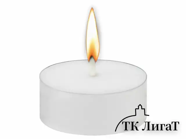 Свечи чайные Maxi Life, до 8 часов горения, вес 21 г, КОМПЛЕКТ 50 шт., в гильзе, LAIMA, 609202
