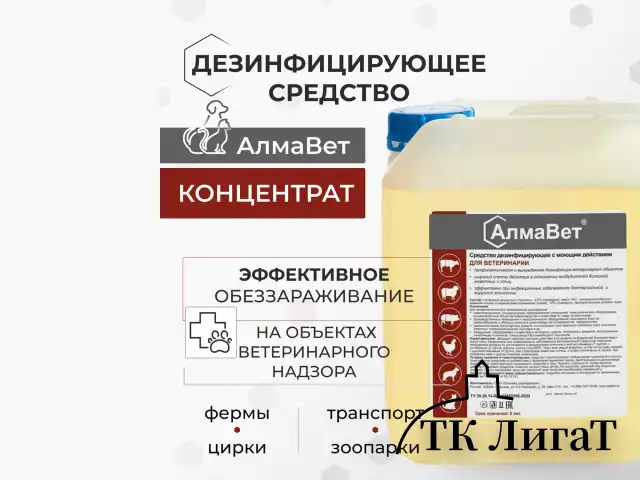 Средство дезинфицирующее для ветеринарии 5 л, АЛМАВЕТ, концентрат, АЛВЕТ-8001