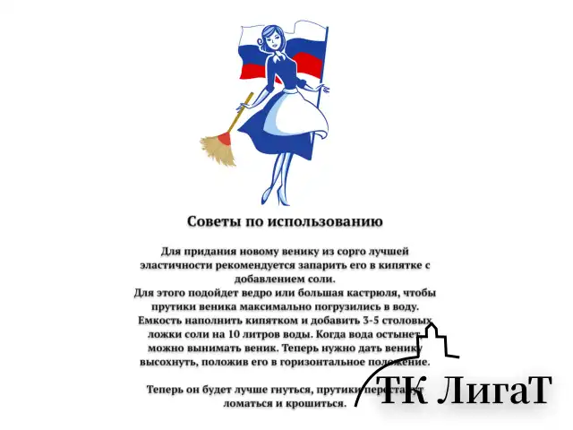 Веник сорго 6-ти ЛУЧЕВОЙ, утяжка проволокой, ЛЮБАША ЛЮКС, ручка в пленке, длина 85 см, 609580