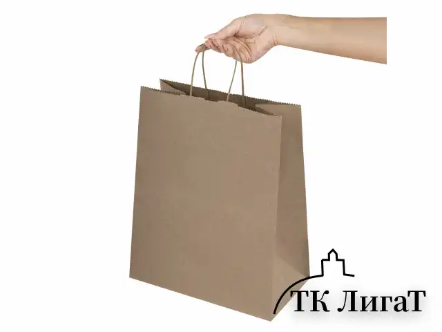 Крафт-пакет бумажный 26х15х35 см, КОМПЛЕКТ 50 шт., крученые ручки, плотность 90 г/м2, LAIMA ECO CRAFT, 609686