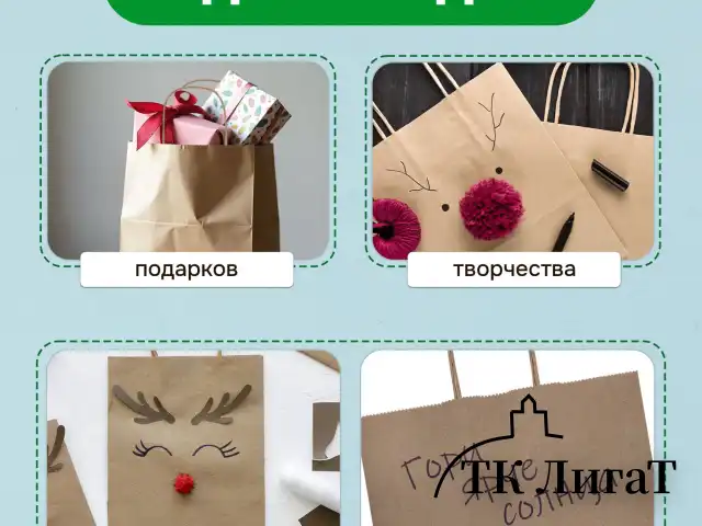 Крафт-пакет бумажный 26х15х35 см, КОМПЛЕКТ 50 шт., крученые ручки, плотность 90 г/м2, LAIMA ECO CRAFT, 609686