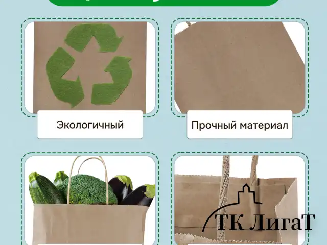 Крафт-пакет бумажный 26х15х35 см, КОМПЛЕКТ 50 шт., крученые ручки, плотность 90 г/м2, LAIMA ECO CRAFT, 609686