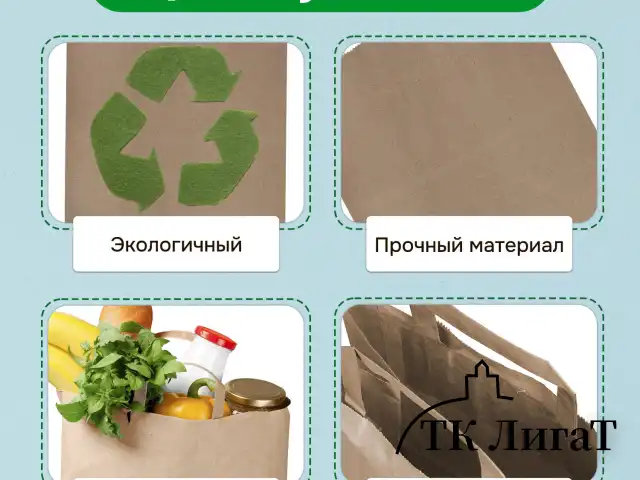Крафт-пакет бумажный 24х14х29 см, КОМПЛЕКТ 50 шт., плоские ручки, плотность 90 г/м2, LAIMA ECO CRAFT, 609687