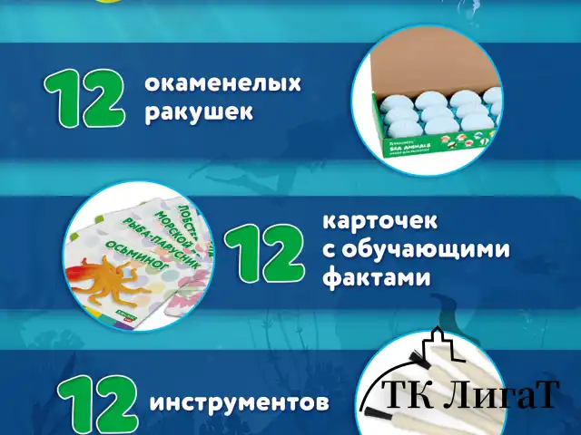Набор для раскопок "Морские животные", 12 видов, карточки, инструменты, BRAUBERG KIDS, 665126