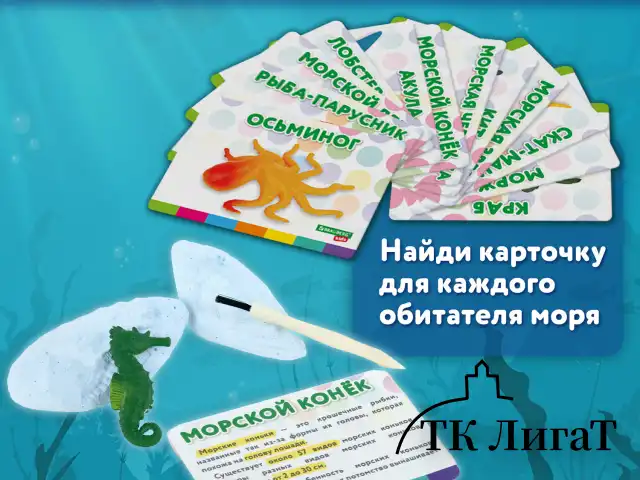 Набор для раскопок "Морские животные", 12 видов, карточки, инструменты, BRAUBERG KIDS, 665126