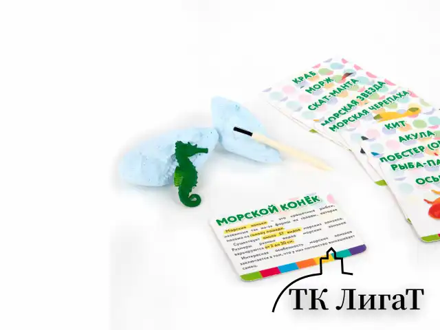 Набор для раскопок "Морские животные", 12 видов, карточки, инструменты, BRAUBERG KIDS, 665126