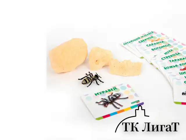 Набор для раскопок "Насекомые", 12 видов, карточки, инструменты, BRAUBERG KIDS, 665127