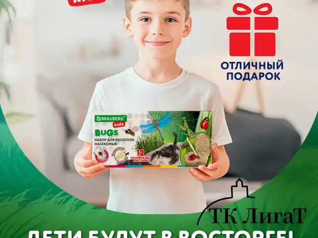 Набор для раскопок "Насекомые", 12 видов, карточки, инструменты, BRAUBERG KIDS, 665127
