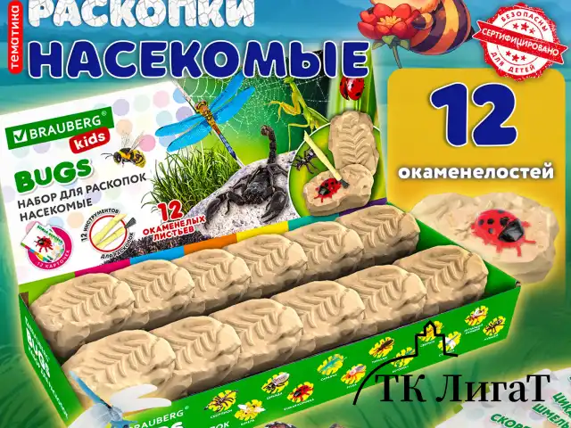 Набор для раскопок "Насекомые", 12 видов, карточки, инструменты, BRAUBERG KIDS, 665127