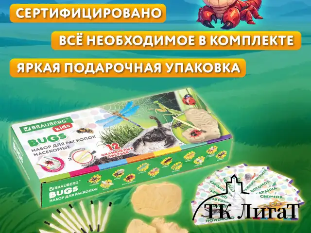 Набор для раскопок "Насекомые", 12 видов, карточки, инструменты, BRAUBERG KIDS, 665127