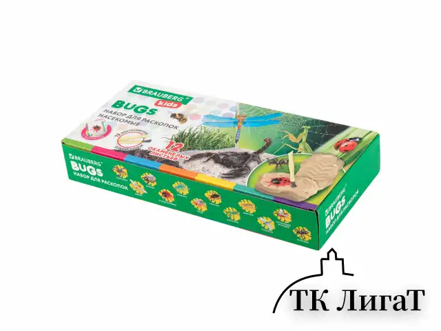 Набор для раскопок "Насекомые", 12 видов, карточки, инструменты, BRAUBERG KIDS, 665127