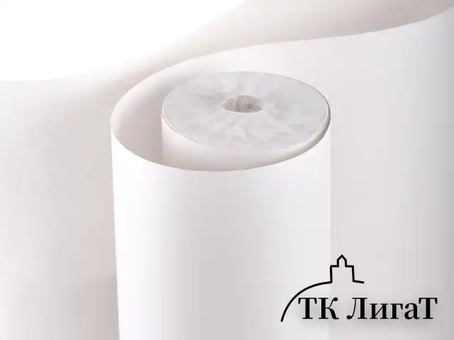 Бумага для творчества и упаковки, газетная, рулон 700 мм х 100 м, 45 г/м2, BRAUBERG, 665565