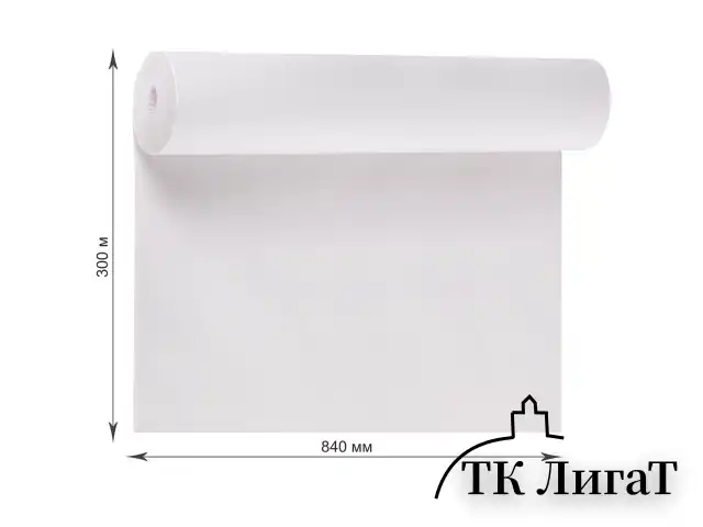 Бумага для творчества и упаковки, газетная, рулон 840 мм х 300 м, 45 г/м2, BRAUBERG, 665567