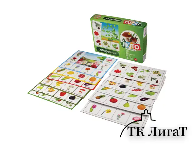 Настольная игра Лото для детей, картонное (6 полей, 48 карточек), АССОРТИ, 10 КОР