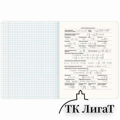 Тетрадь предметная КЛАССИКА ПРИРОДА 48л, обложка картон, ФИЗИКА, клетка, подсказ, BRAUBERG, 405092